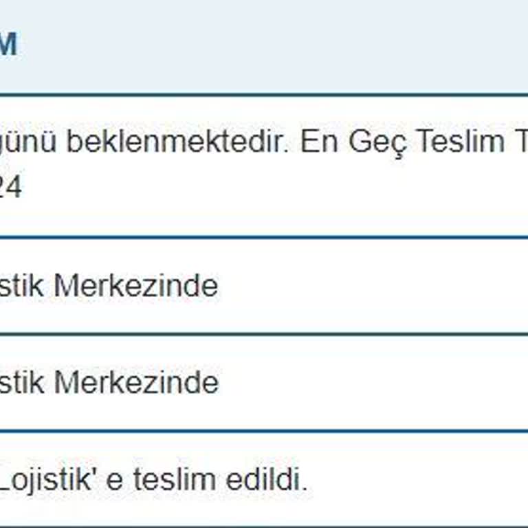 Borusan Lojistik'te 5 Günlük Teslimat Gecikmesi