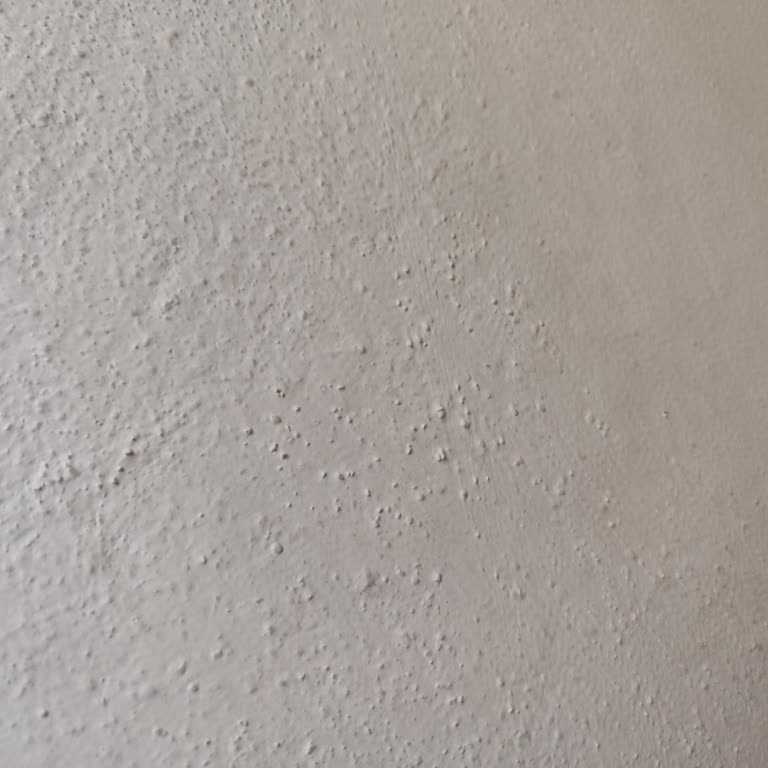 Bitexen Uygulamasında SMS Onayı Sorunu