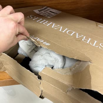 Stradivarius'tan Gelen Kargo Şoku