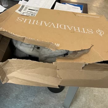 Stradivarius'tan Gelen Kargo Şoku