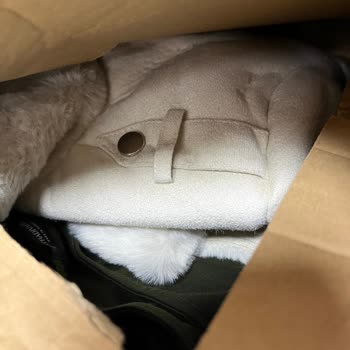 Stradivarius'tan Gelen Kargo Şoku