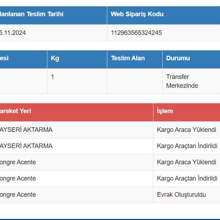 İade Sürecinde Sürat Kargo Ve N11 Mağduriyeti