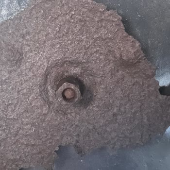 Electrolux Fırının Garanti Kapsamı Ve Dayanıklılığı Hakkında Hayal Kırıklığı
