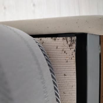 Bellona Mobilya'dan Aldığım Ürünlerde Tahta Kurusu Sorunu