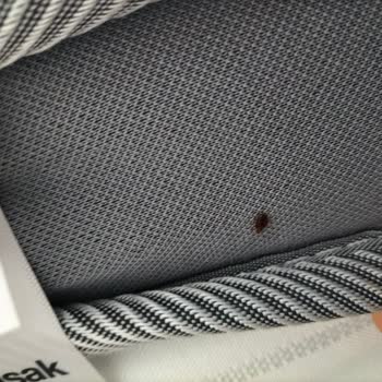 Bellona Mobilya'dan Aldığım Ürünlerde Tahta Kurusu Sorunu