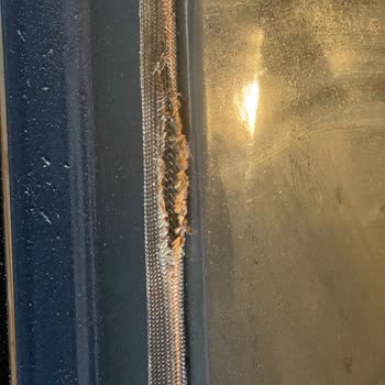 Electrolux Refused to Replace Defective Parts On My Oven Under Warranty