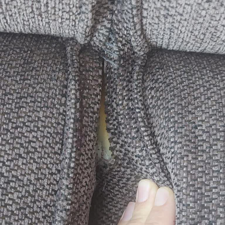 Kelebek Mobilya Koltuk Takımında Dikiş Sorunları Ve Müşteri Hizmetleri