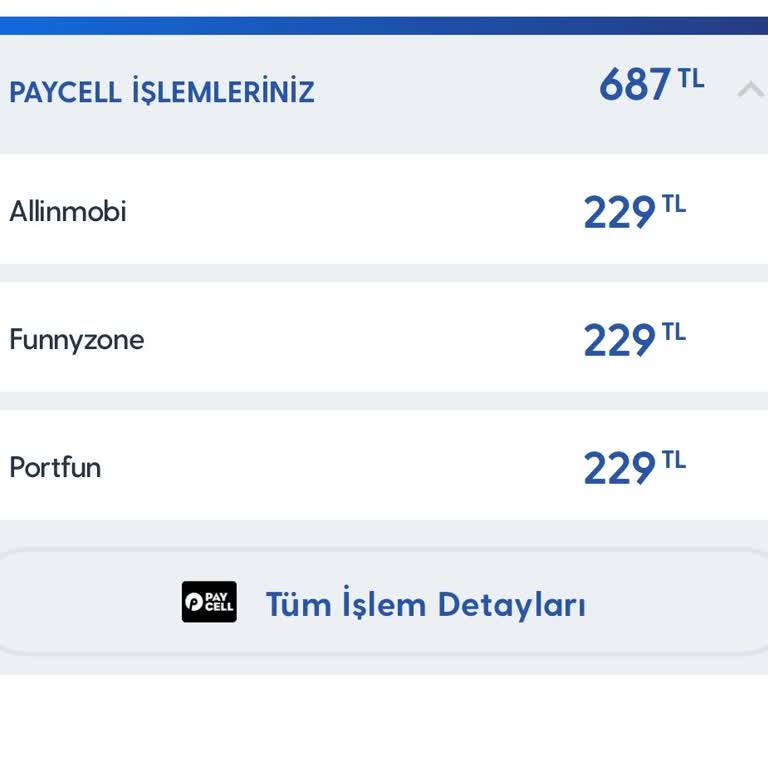 Vizyon Elektronik Para Yetkisiz Abonelik Ve Müşteri Hizmetleri Deneyimi