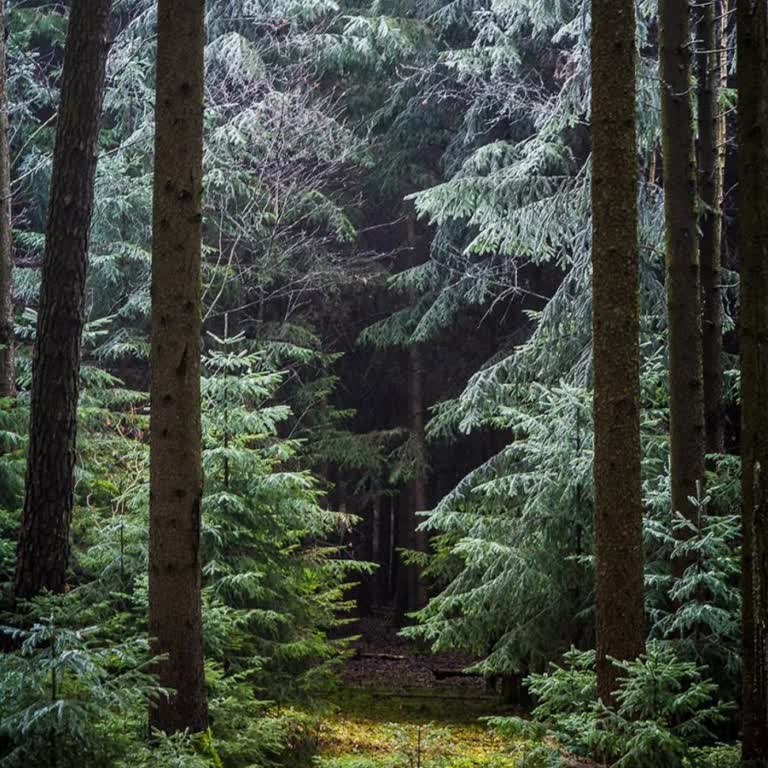 Kilit Ekranındaki Gizemli Kırmızı İşaret Sorunu