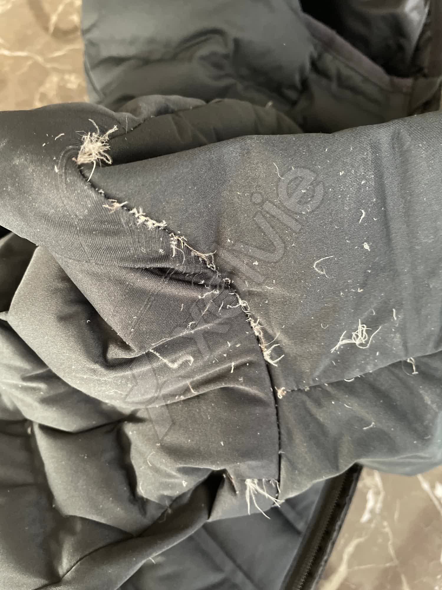 Outerwear Jackets Downfill Jackets Eddie Bauer Down Jacket Losing