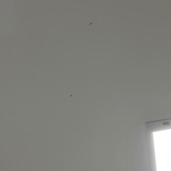 Çikolata Kampanyasında Kurt Şoku!