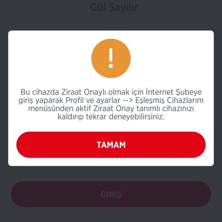 Ziraat Mobil Giriş Sorunu