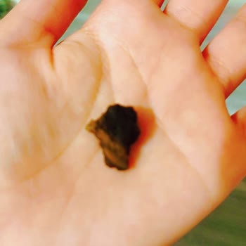 Market Ürününde Beklenmeyen Madde Bulundu