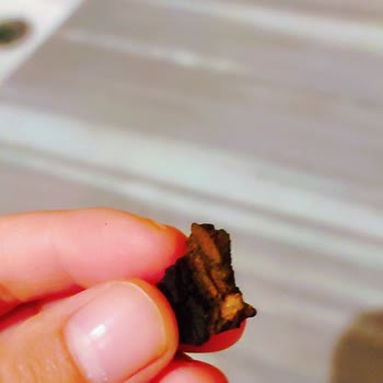 Market Ürününde Beklenmeyen Madde Bulundu