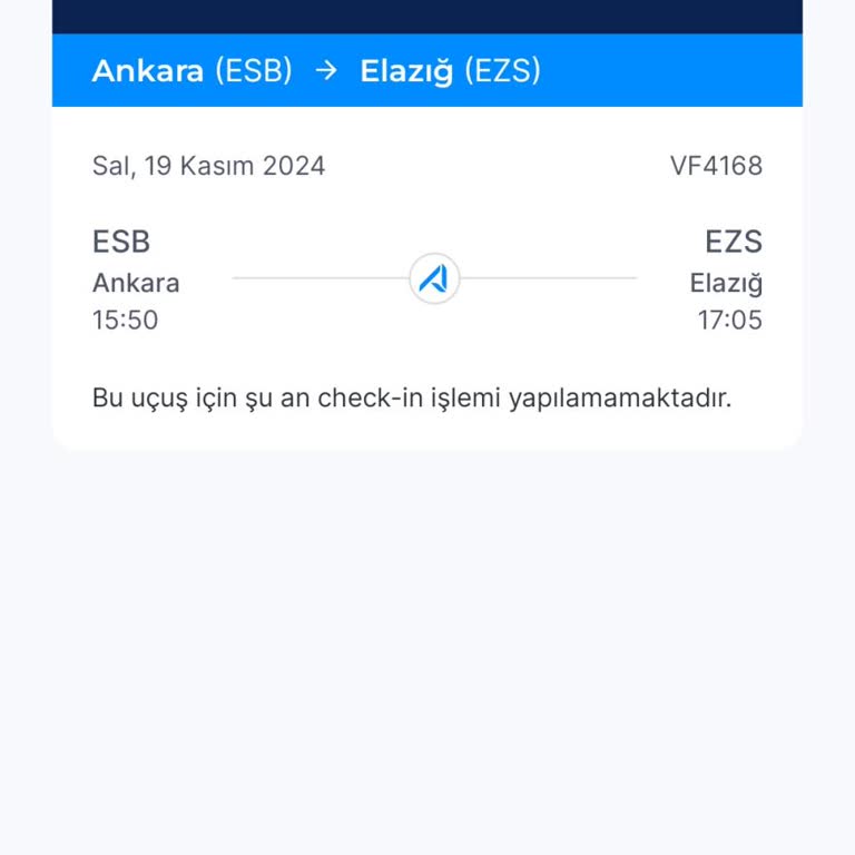Check-in Sorunu Ve Ücret İadesi Talebi