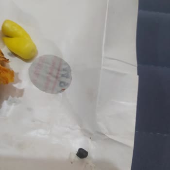 Yemek Siparişinde Tehlikeli Yabancı Madde Şoku