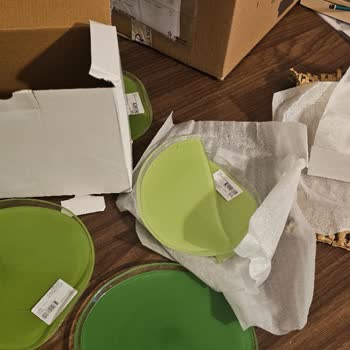 Kırık Tabak Ve İlgisiz Müşteri Hizmetleri