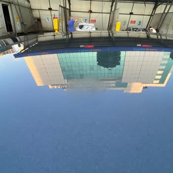 Citroen C4'te Kalıcı Kuş Lekeleri Ve Müşteri Hizmetleri Sorunu