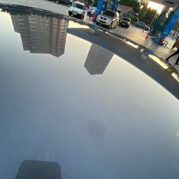 Citroen Refused to Address Bird Dropping Stains on My Brand-new C4