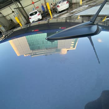 Citroen Refused to Address Bird Dropping Stains on My Brand-new C4