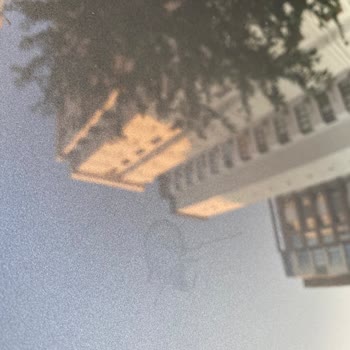 Citroen Refused to Address Bird Dropping Stains on My Brand-new C4