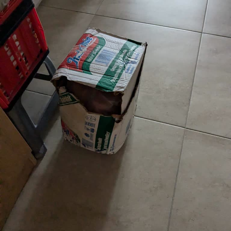 Sürat Kargo İle Hayal Kırıklığı: Kayıp Ürünler Ve İlgisizlik