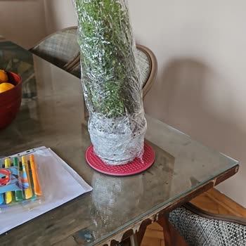 Yanlış Ürün Ve Yüksek Kargo Ücreti Mağduriyeti