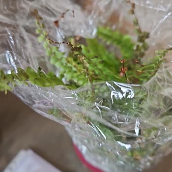 Yanlış Ürün Ve Yüksek Kargo Ücreti Mağduriyeti