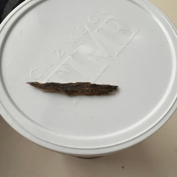 Rolls Ürününden Çıkan Tahta Parçası Güvenimizi Sarstı