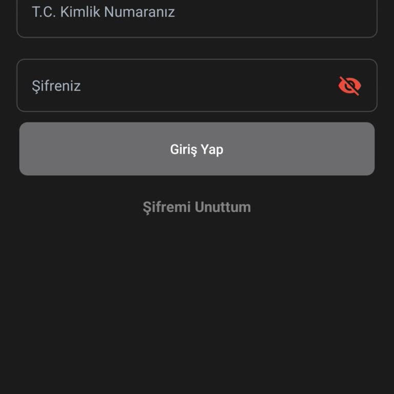 Payfix Hesabım Çalındı: Acil Destek Talebi!