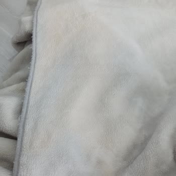 Merinos Battaniyede Beklenmedik Sararmalar