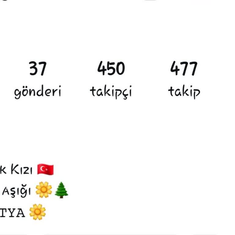 Instagram Takipçi Sayımda Yanlışlık