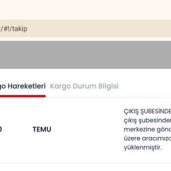 Aras Kargo İle Temu Siparişim Neden Ulaşmıyor?