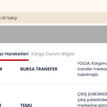 Aras Kargo İle Temu Siparişim Neden Ulaşmıyor?