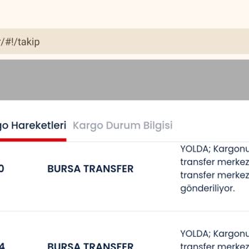 Aras Kargo İle Temu Siparişim Neden Ulaşmıyor?