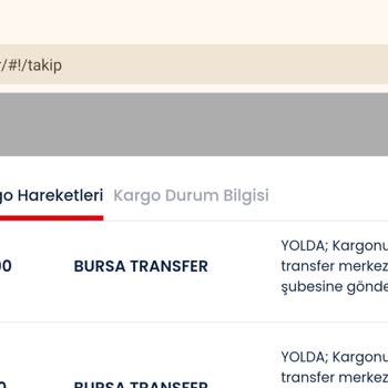 Aras Kargo İle Temu Siparişim Neden Ulaşmıyor?