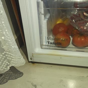 Vestel Buzdolabı Kapak Paslanma Sorunu
