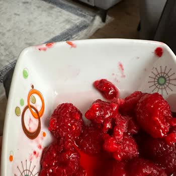 Dondurulmuş Frambuazdan Çıkan Kurtlar