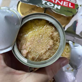 Son Kullanım Tarihi Geçmemiş Dardanel Ton Balıkları Bozulmuş Çıktı