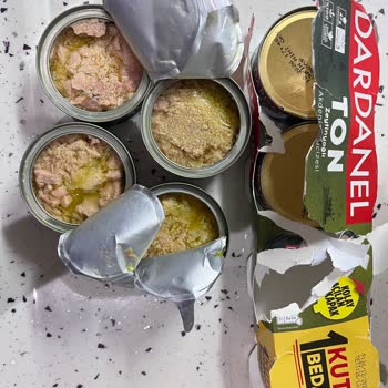 Son Kullanım Tarihi Geçmemiş Dardanel Ton Balıkları Bozulmuş Çıktı