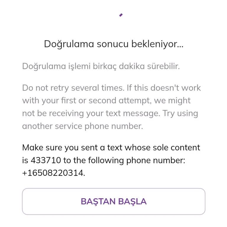 Pi Network Şifre Sorunu Ve Kod Gönderim Problemi