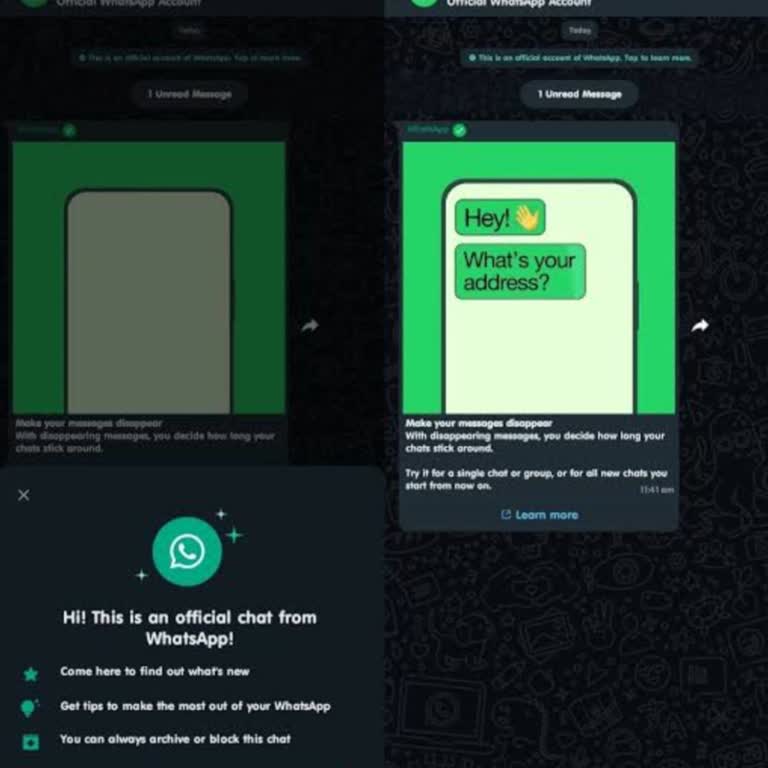 WhatsApp Doğrulama Ve Mesaj Sorunu