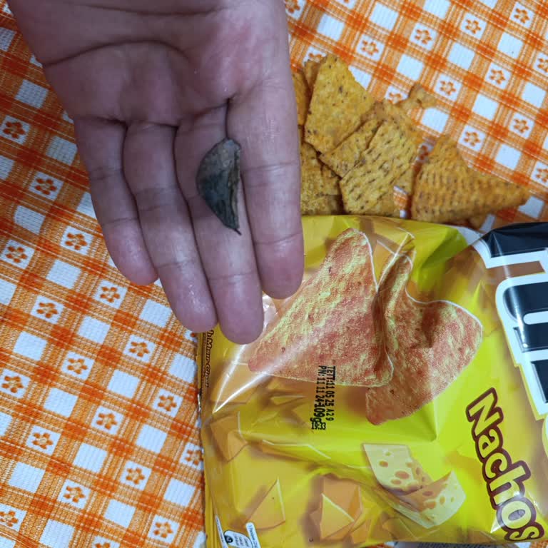 Cips Paketinden Çıkan Siyah Madde Şoku