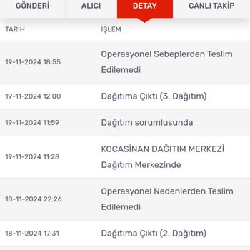 Teslim Edilemeyen Kargo Çilesi