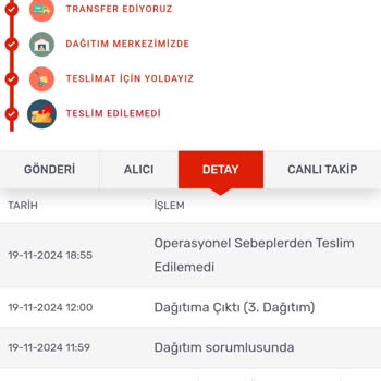 Teslim Edilemeyen Kargo Çilesi