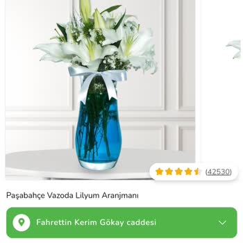 Yanlış Ve Yıpranmış Çiçekler, İade Kabul Edilmiyor