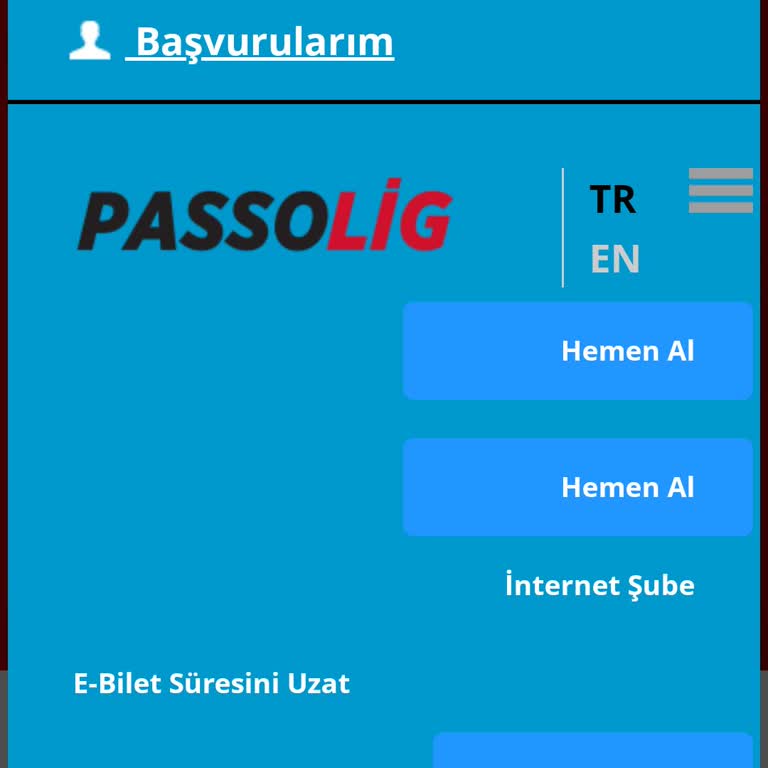 Passolig Kart Erişim Sorunu Ve Mağduriyet