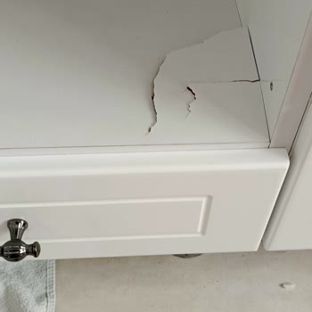 Bosch Servis Hizmeti Ve Mobilya Hasarı Sorunu