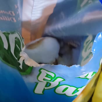 Dondurulmuş Patateslerde Soğuk Zincir Sorunu