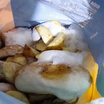 Dondurulmuş Patateslerde Soğuk Zincir Sorunu